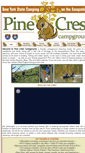 Mobile Screenshot of pinecrestny.com